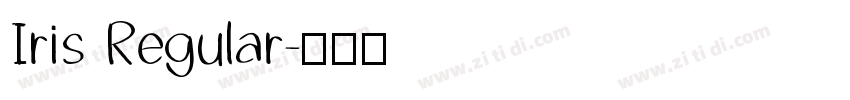 Iris Regular字体转换
